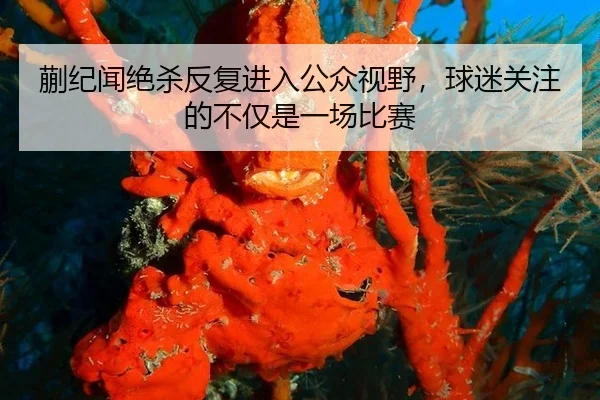 蒯纪闻绝杀反复进入公众视野，球迷关注的不仅是一场比赛